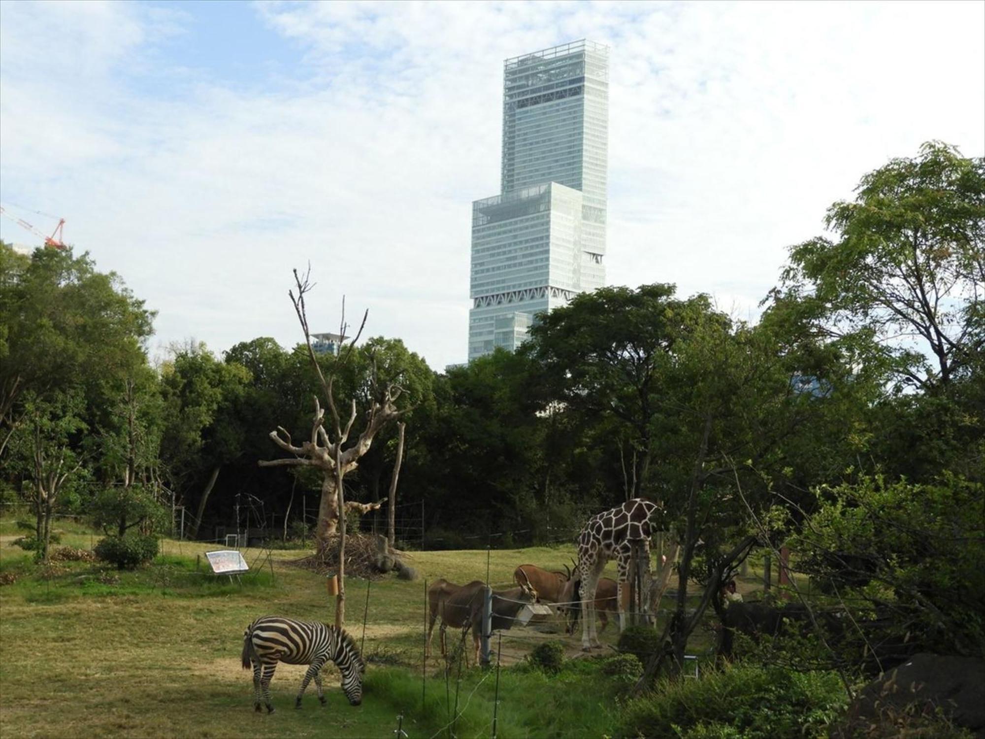 Te House Osaka-Tennoji - Vacation Stay 18641 מראה חיצוני תמונה